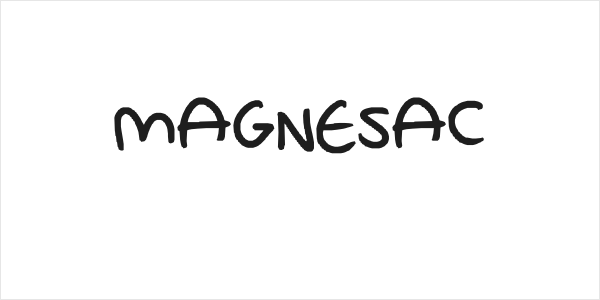 MAGNESAC Logo