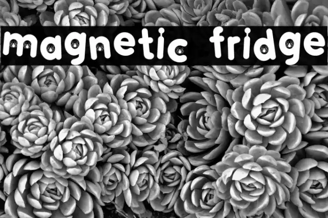 MAGNETIC FRIDGE फ़ॉन्ट examples