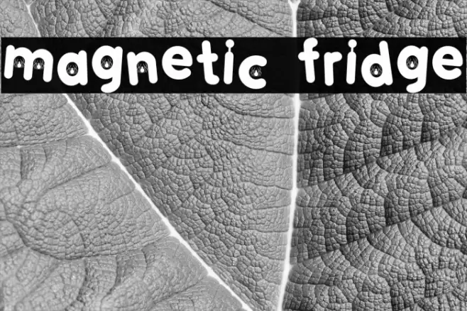MAGNETIC FRIDGE फ़ॉन्ट examples