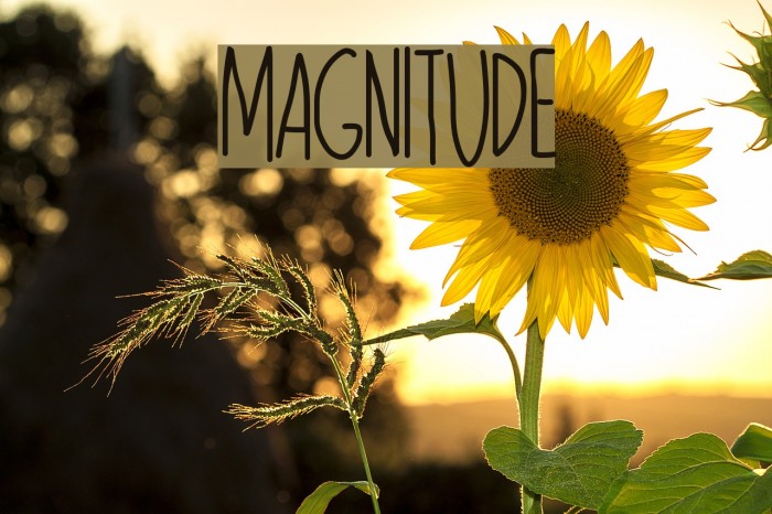 MAGNITUDE Font examples