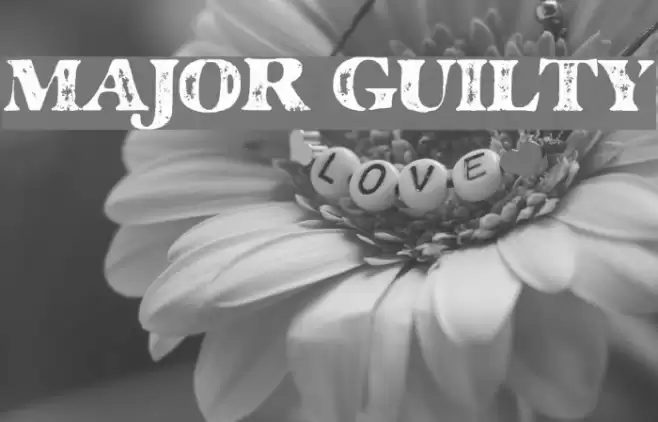 MAJOR GUILTY Fonte examples