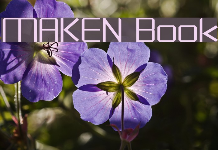 MAKEN Book フォント examples