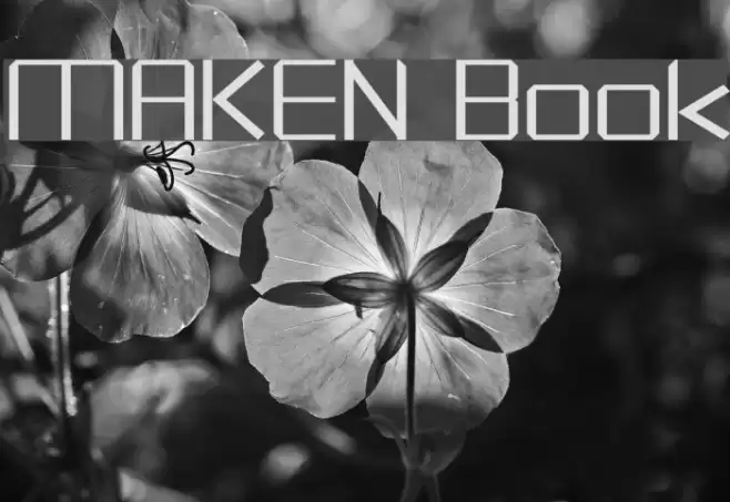 MAKEN Book Font examples