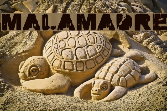 MALAMADRE Font examples