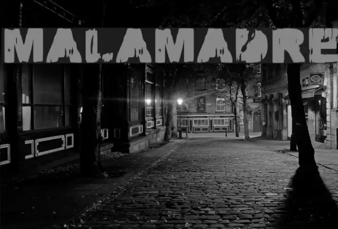 MALAMADRE Font examples