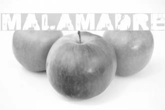 MALAMADRE Font examples