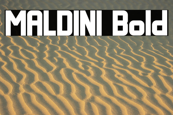 MALDINI Bold Example 1