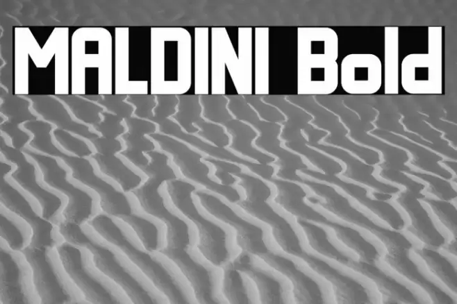 MALDINI Bold Font examples