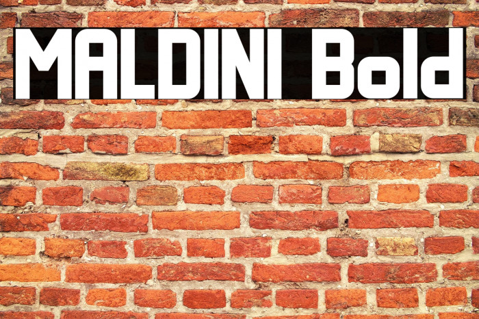 MALDINI Bold Example 2