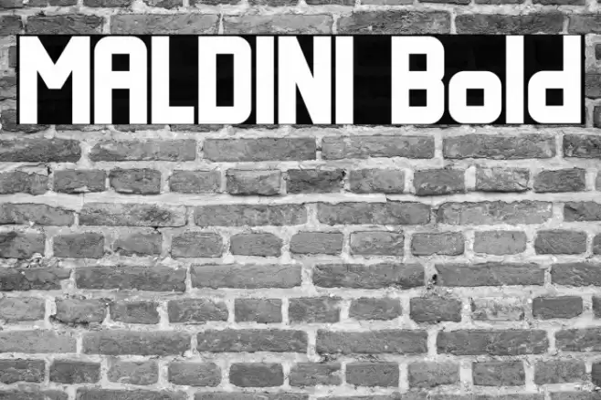MALDINI Bold Font examples