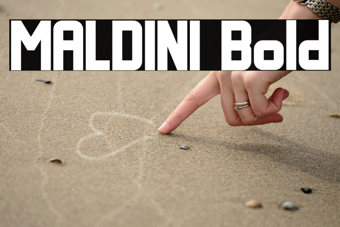 MALDINI Bold Example 3