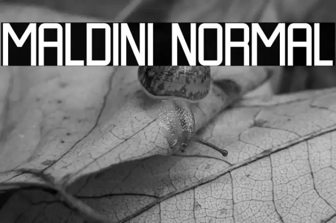 MALDINI NORMAL Example 1