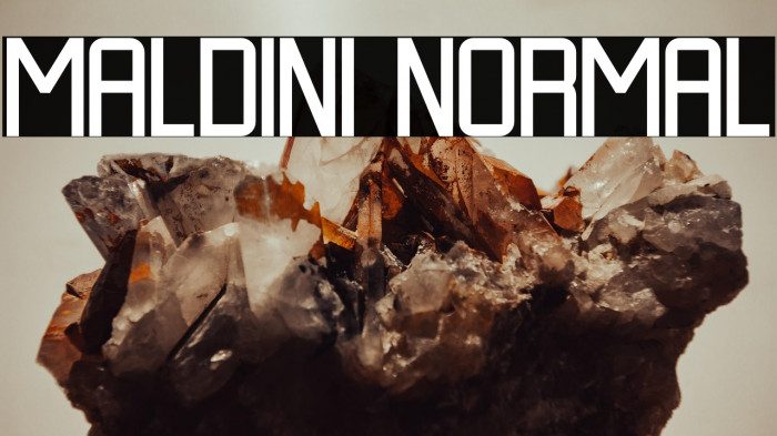 MALDINI NORMAL Example 3