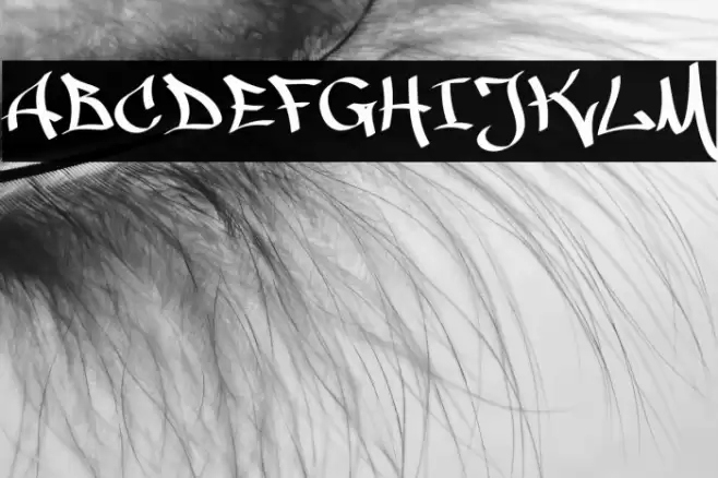 MALICE Font examples