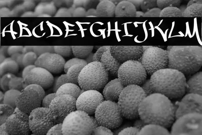 MALICE Font examples