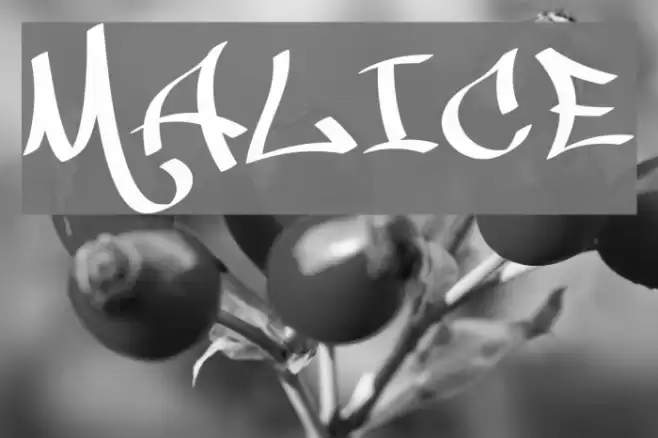 MALICE Font examples