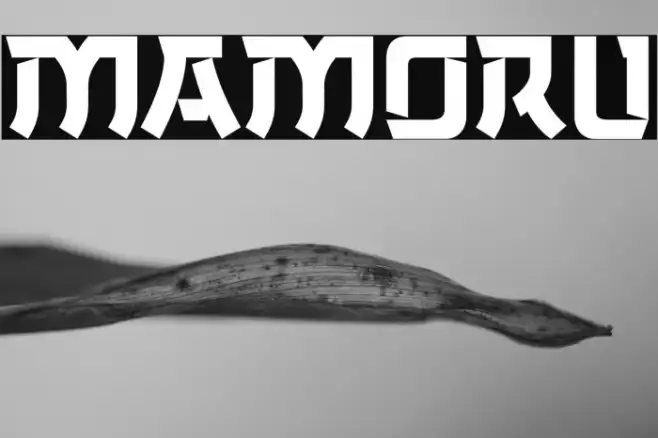 MAMORU Example 1