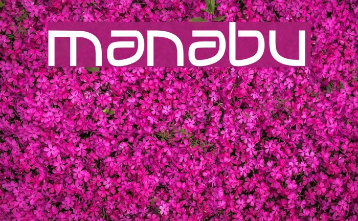 MANABU_ Font examples