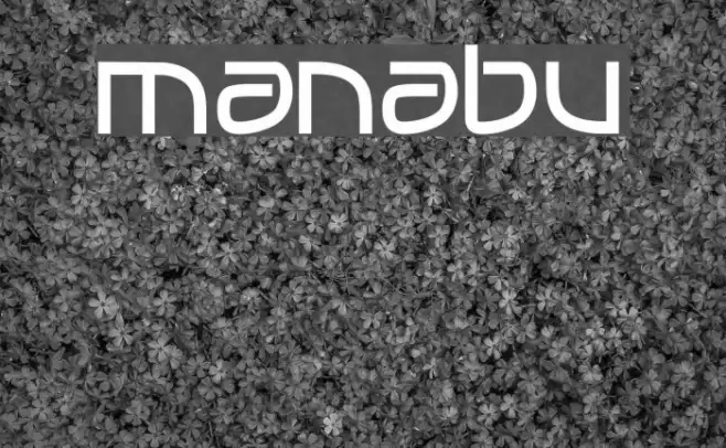 MANABU_ Example 1