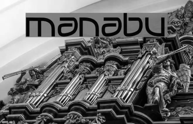 MANABU_ Example 2