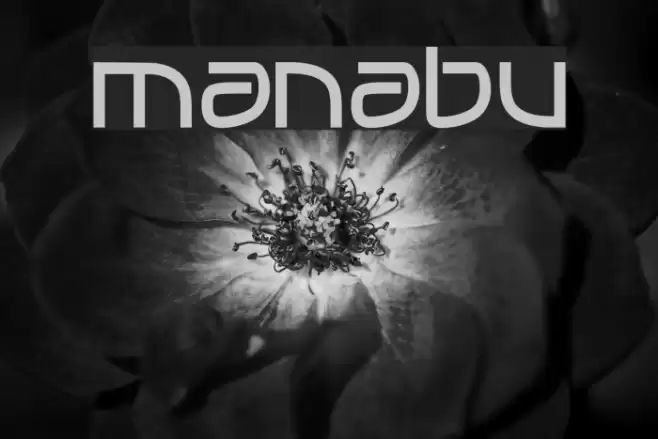 MANABU Font examples