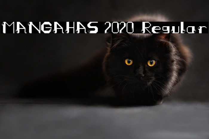 MANGAHAS 2020 Regular Example 1