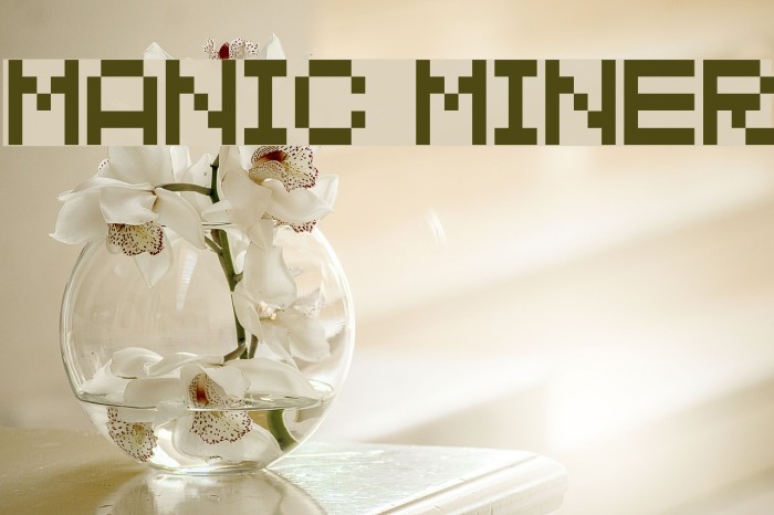 MANIC MINER Font examples