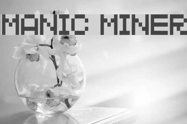 MANIC MINER Example 1