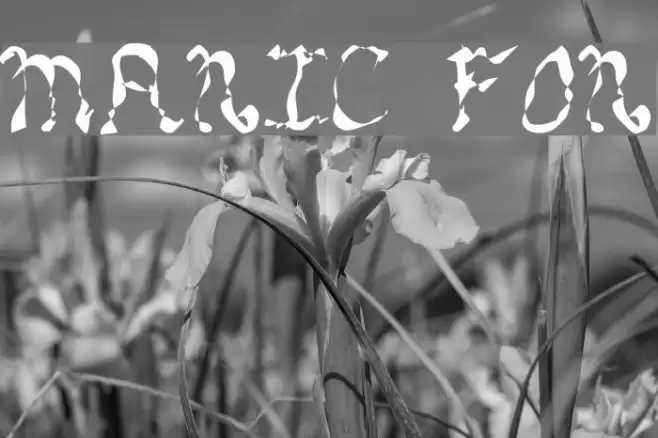 MANIC Font examples