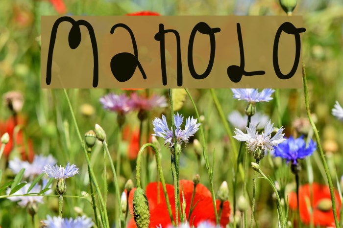 MANOLO Font examples