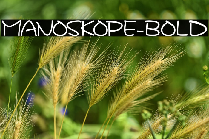 MANOSKOPE-Bold Example 2