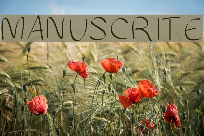 MANUSCRITE Font examples