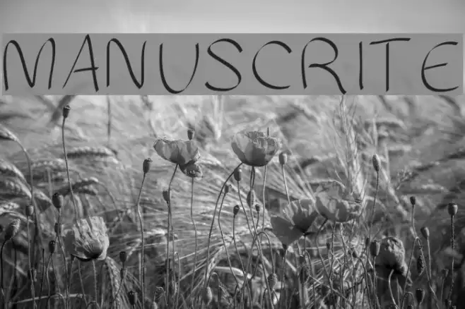 MANUSCRITE Example 2