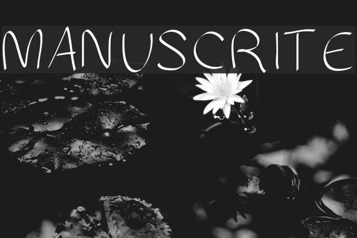 MANUSCRITE Font examples