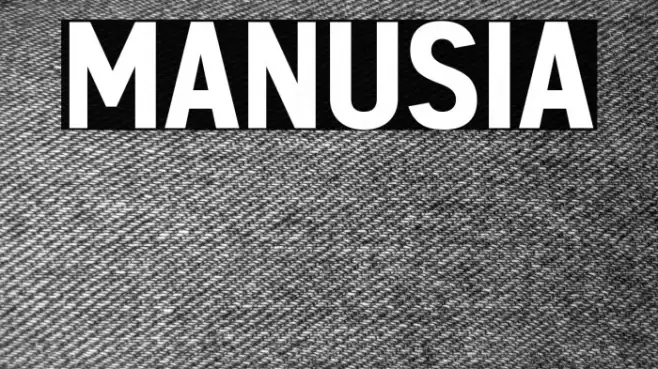 MANUSIA Example 1