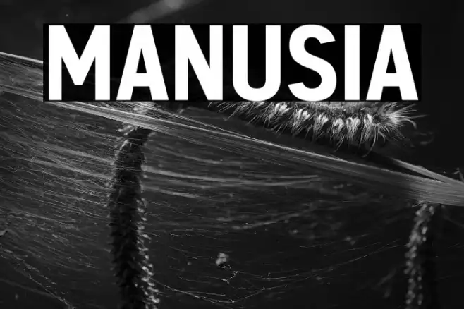 MANUSIA Example 2