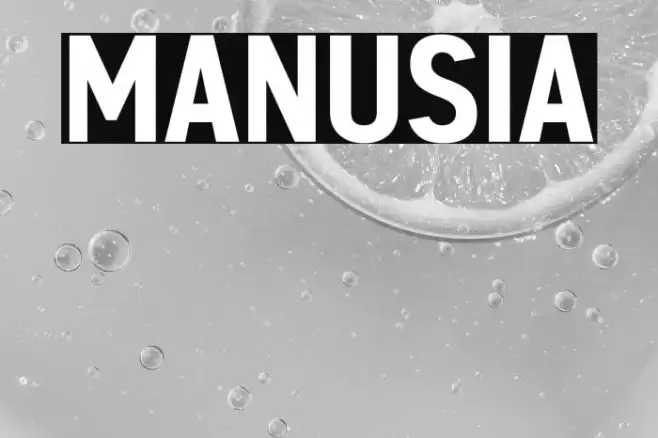 MANUSIA Example 3