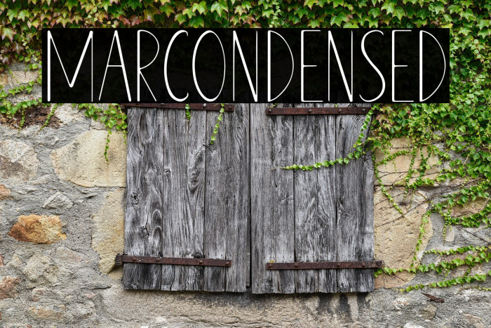 MARCONDENSED Example 3