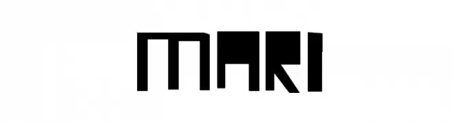 MARI 