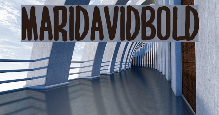 MARI&DAVID BOLD Font examples