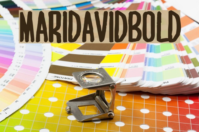 MARI&DAVID BOLD Font examples