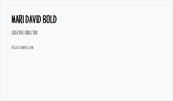 MARI&DAVID BOLD Business Card