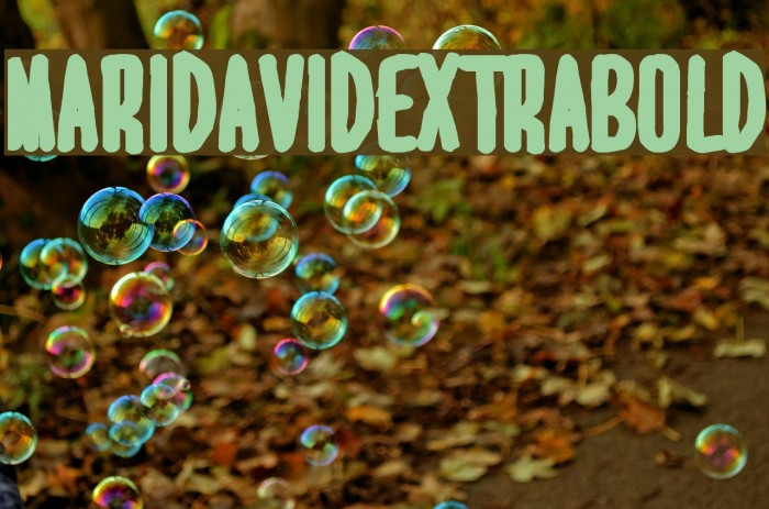MARI&DAVID EXTRABOLD Font examples