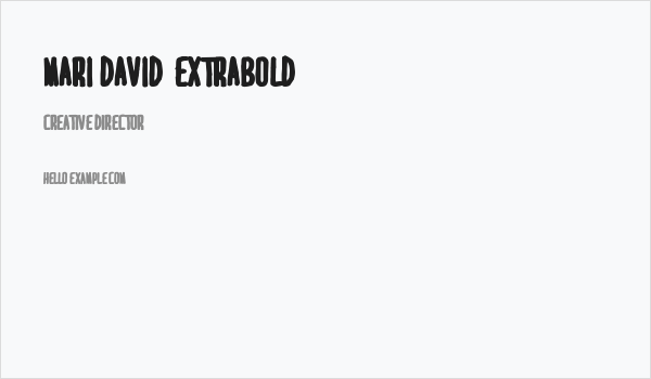 MARI&DAVID  EXTRABOLD Business Card