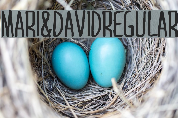 MARI&DAVIDRegular Font examples