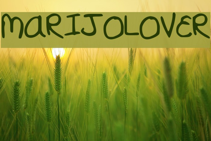 MARIJOLOVER Example 1