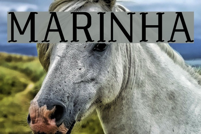 MARINHA Font examples