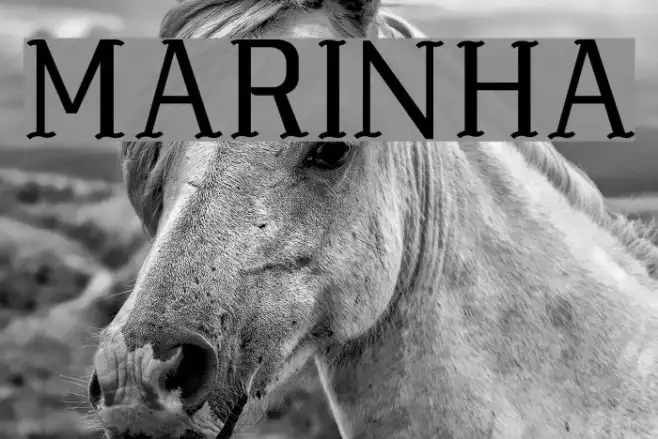 MARINHA Example 3