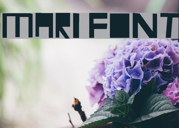 MARI Font examples