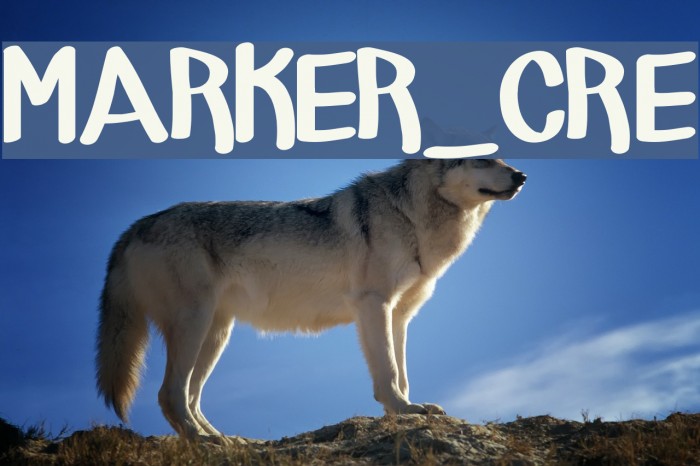 MARKER_CRE Font examples